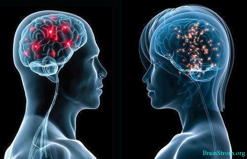 Human Brain Analysis – Man vs. Woman……A MUST READ!