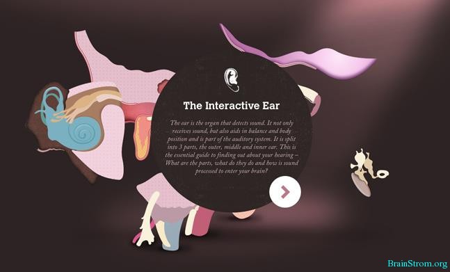 Interactive Ear …..Ux concept
