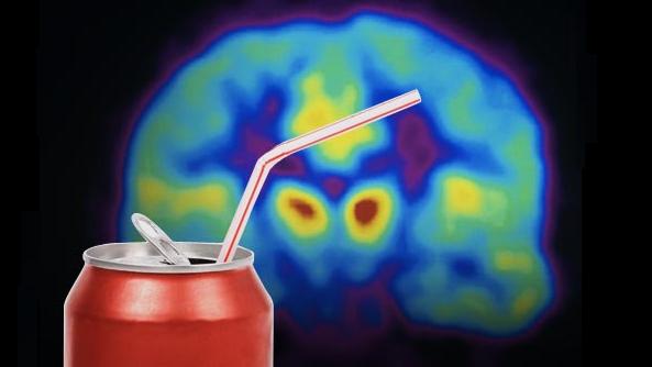 Carbonation Artificially Sweetens Soda and Trick the Brain